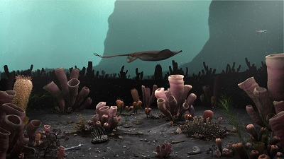 Burgess shale image