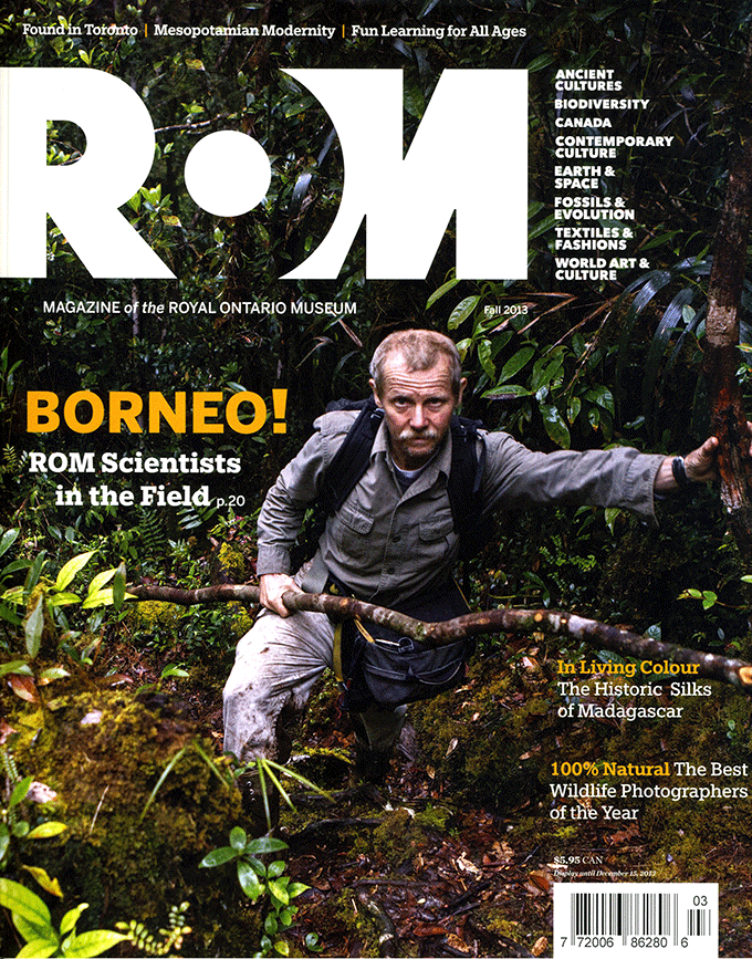 ROM cover Borneo