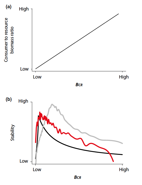 consumer to resource biomass ratio (a) and three measures of stability