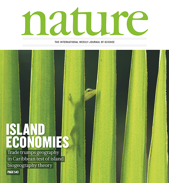 Nature Cover image: Anolis lizards