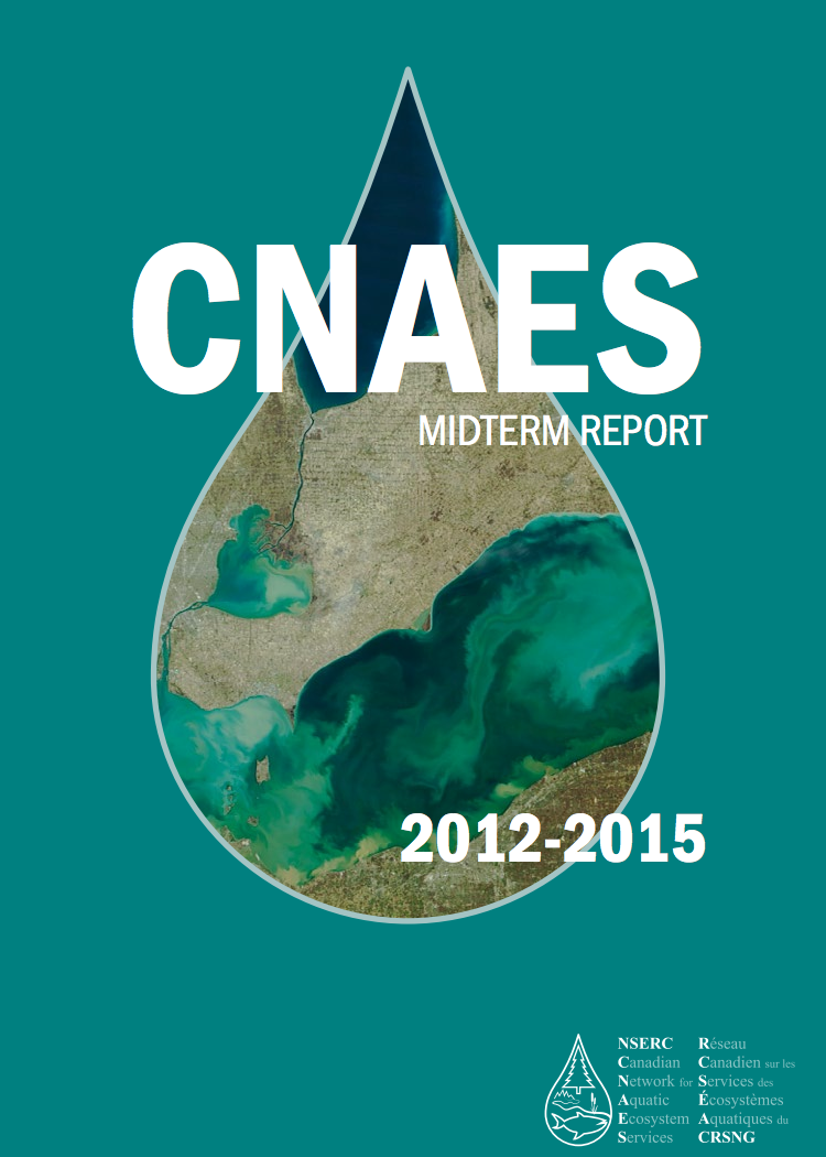 CNAES Mid Term Report