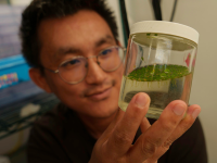 A young Japanese man in glasses holds a glass jar containing duckweed, a small green aquatic plant, into the camera